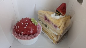 PXL_20250320_065828955