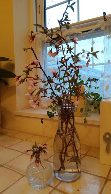 草の花 21年04月
