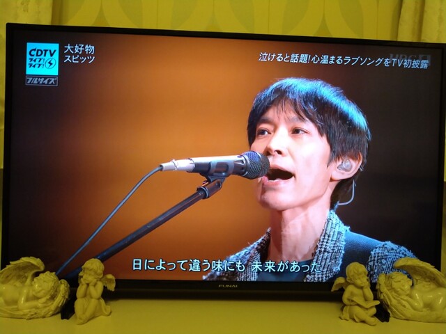 草の花 さらにさらに好きになったよ