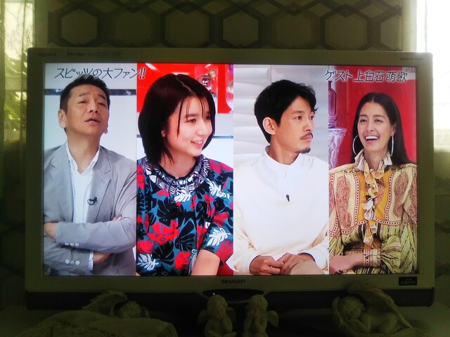 草の花 マサムネは神様 草の花 マサムネは神様