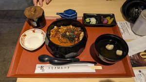 PXL_20250320_041153487