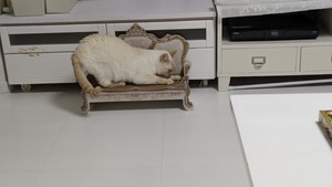 PXL_20250130_105927092