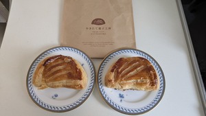 PXL_20250320_070217528