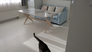 PXL_20250209_052530577