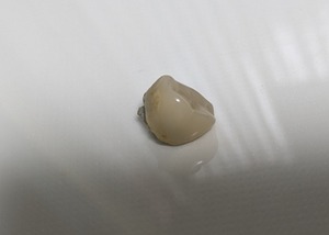 PXL_20250129_140706956