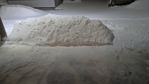 PXL_20250209_093517897