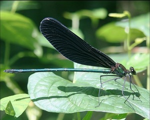 IMG_20200730_224349