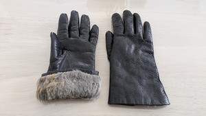 PXL_20250223_040403569