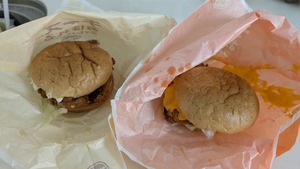 PXL_20250216_050451302