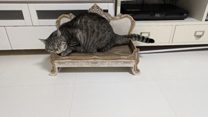 PXL_20250130_104701181