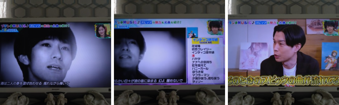 草の花 王様のブランチ スピッツ特集 レポ