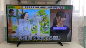 TS_exported_1171_1741302949591