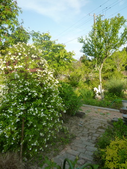 P1110438