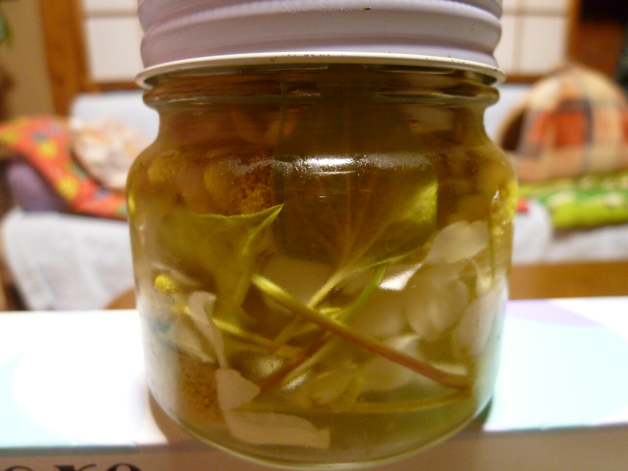 ドクダミ のんびり のんきに のうてんき