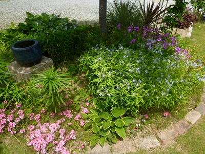 P1110418