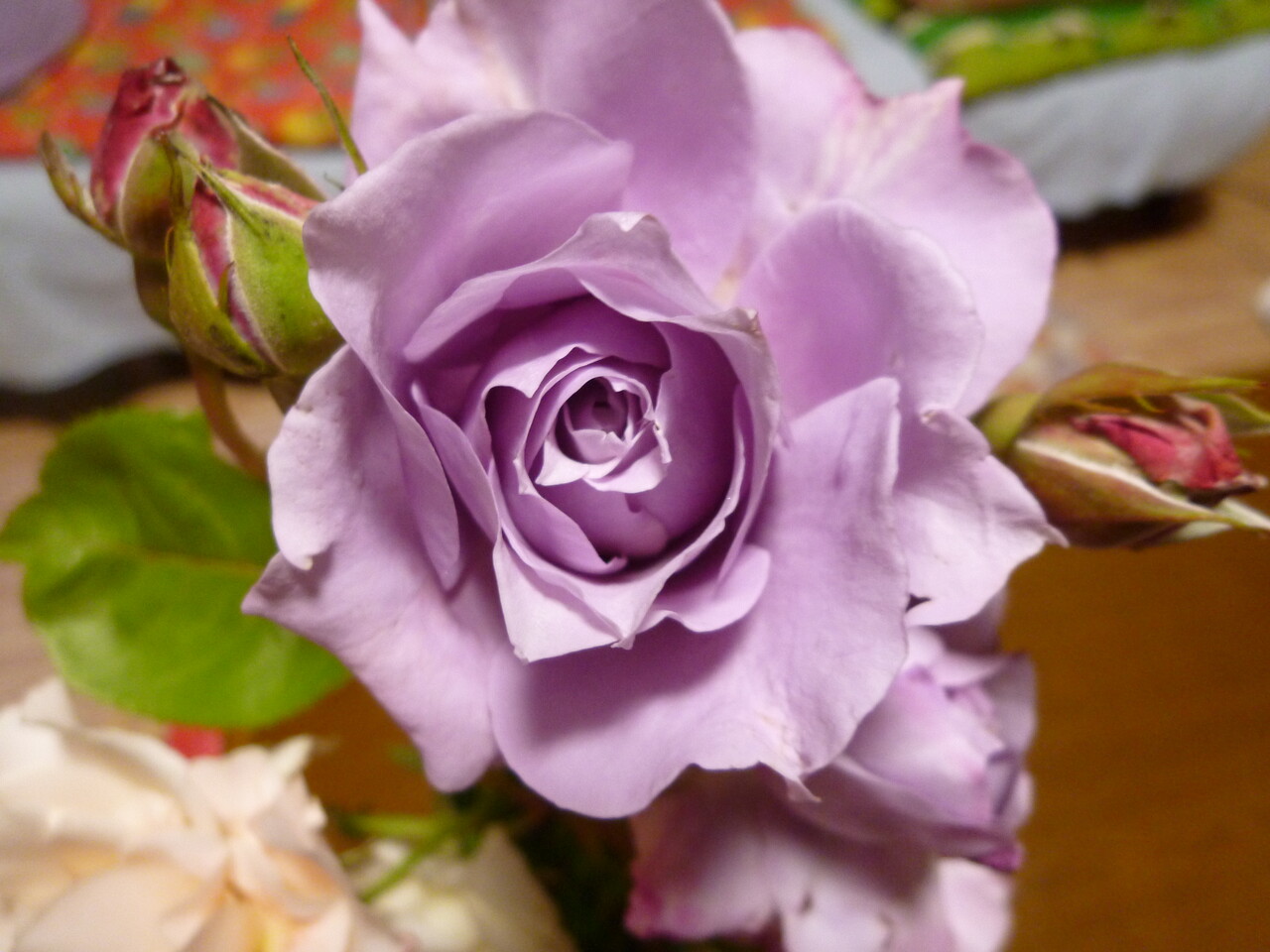 切り花を楽しむ のんびり のんきに のうてんき 切り花を楽しむ のんびり のんきに のうてんき