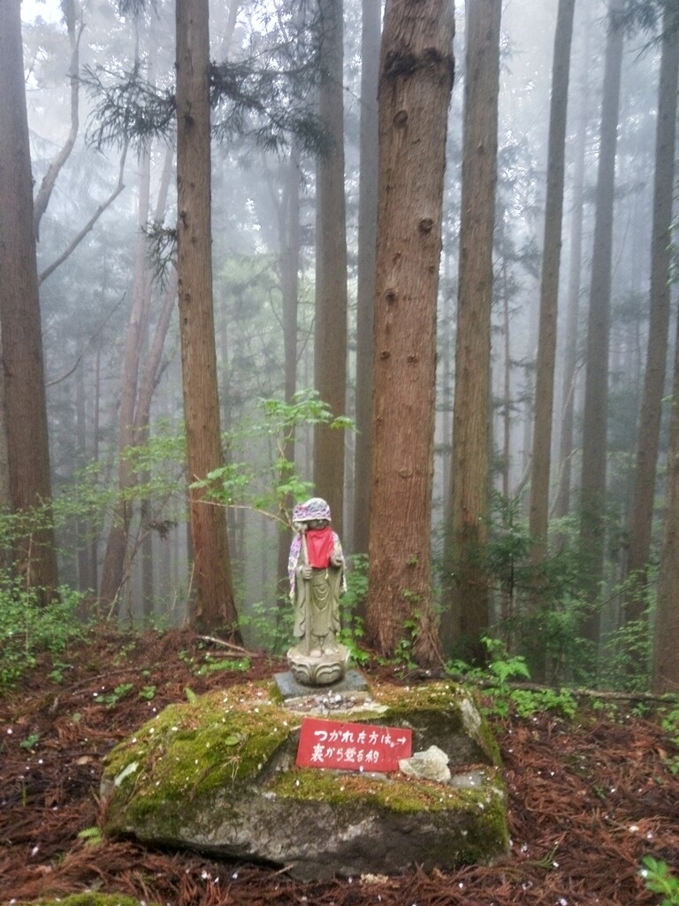靄の中のお山 のんびり のんきに のうてんき 