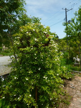 P1110416