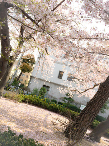 2014-04-04-9-17-12