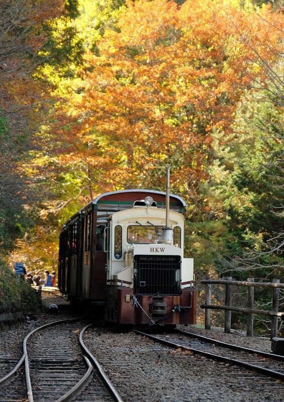 木曽森林鉄道の雰囲気味わって来ました 赤沢保存鉄道 みちのくひとり旅のブログ 木曽森林鉄道の雰囲気味わって来ました 赤沢保存鉄道 みちのくひとり旅のブログ