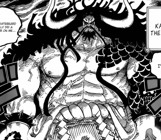 四皇カイドウごっつすぎｗｗｗ いよいよカイドウ登場来たぁ Onepieceまとめチョッパー紳士