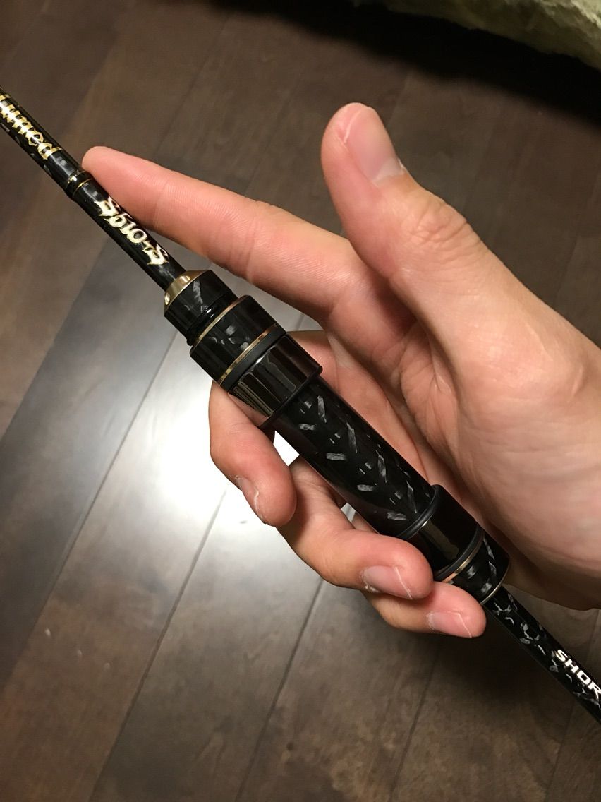アジングロッド買いました 新潟釣行記 美味しい魚を求めて アジングロッド買いました 新潟釣行記 美味しい魚を求めて