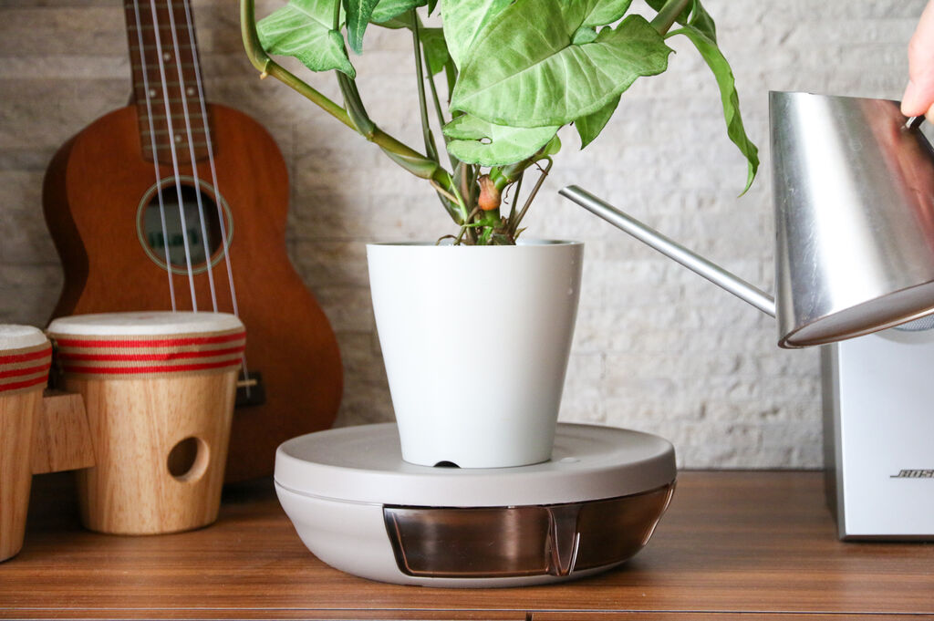 記事掲載 キニナル新商品 鉢受けにたまった水をスマートに捨てられる Pot Keeper ポットキーパー 旅 酒場 育児 そしてライター仕事のおたわゴト イカズブログ 記事掲載 キニナル新商品 鉢受けにたまった水をスマートに捨てられる Pot Keeper ポットキーパー 旅 酒場 育児 そしてライター仕事のおたわゴト イカズブログ