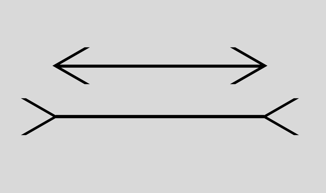 目の錯覚から考える 味わいの感じ方に影響を与える要素はなんだろう ワイン嫌いだけど飲んでみる 目の錯覚から考える 味わいの感じ方に影響を与える要素はなんだろう ワイン嫌いだけど飲んでみる