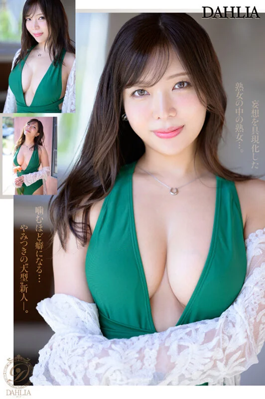 1dldss00500jp-6