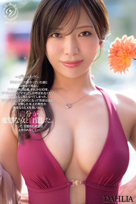 1dldss00500jp-5