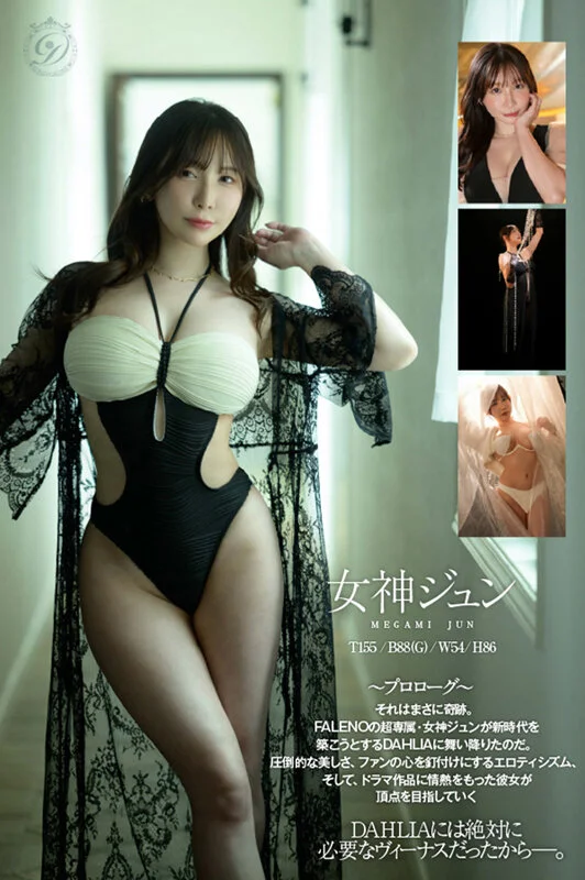 1dldss00531jp-4