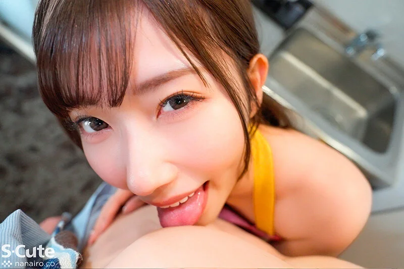 sqte00675jp-6