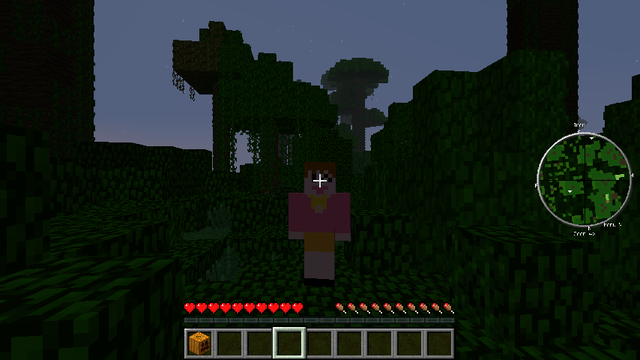 マインクラフト (9)