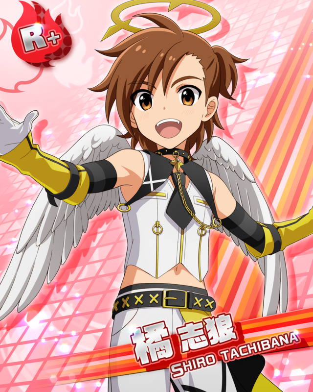 【WING LIVE】橘 志狼+