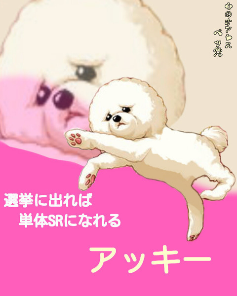 あっきー