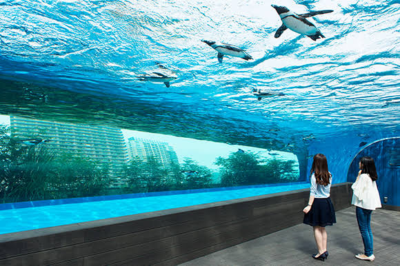 聖地　池袋サンシャイン水族館.jpg FQGLP1U