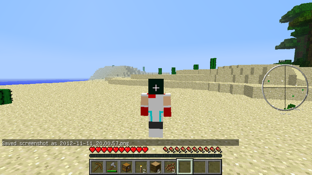 マインクラフト (1)