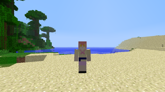 マインクラフト (11)