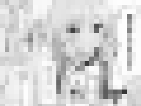 LO_momoka