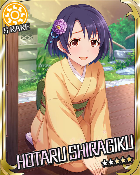白菊ほたる