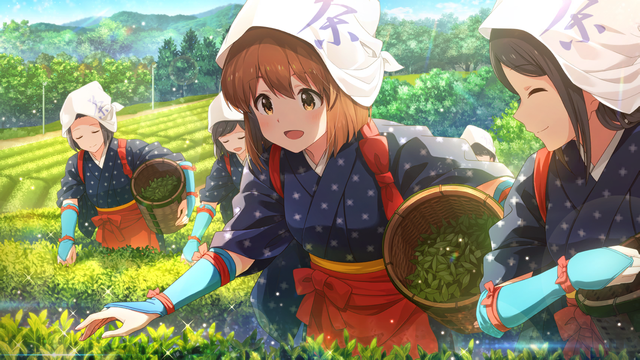 なごみのお茶 萩原 雪歩1