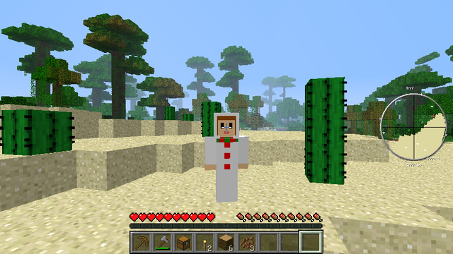 マインクラフト (4)