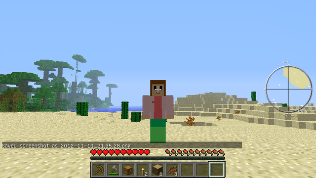 マインクラフト (7)