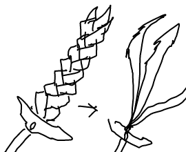 appli-1544658746-102-270x220