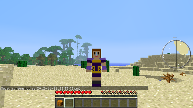 マインクラフト (6)