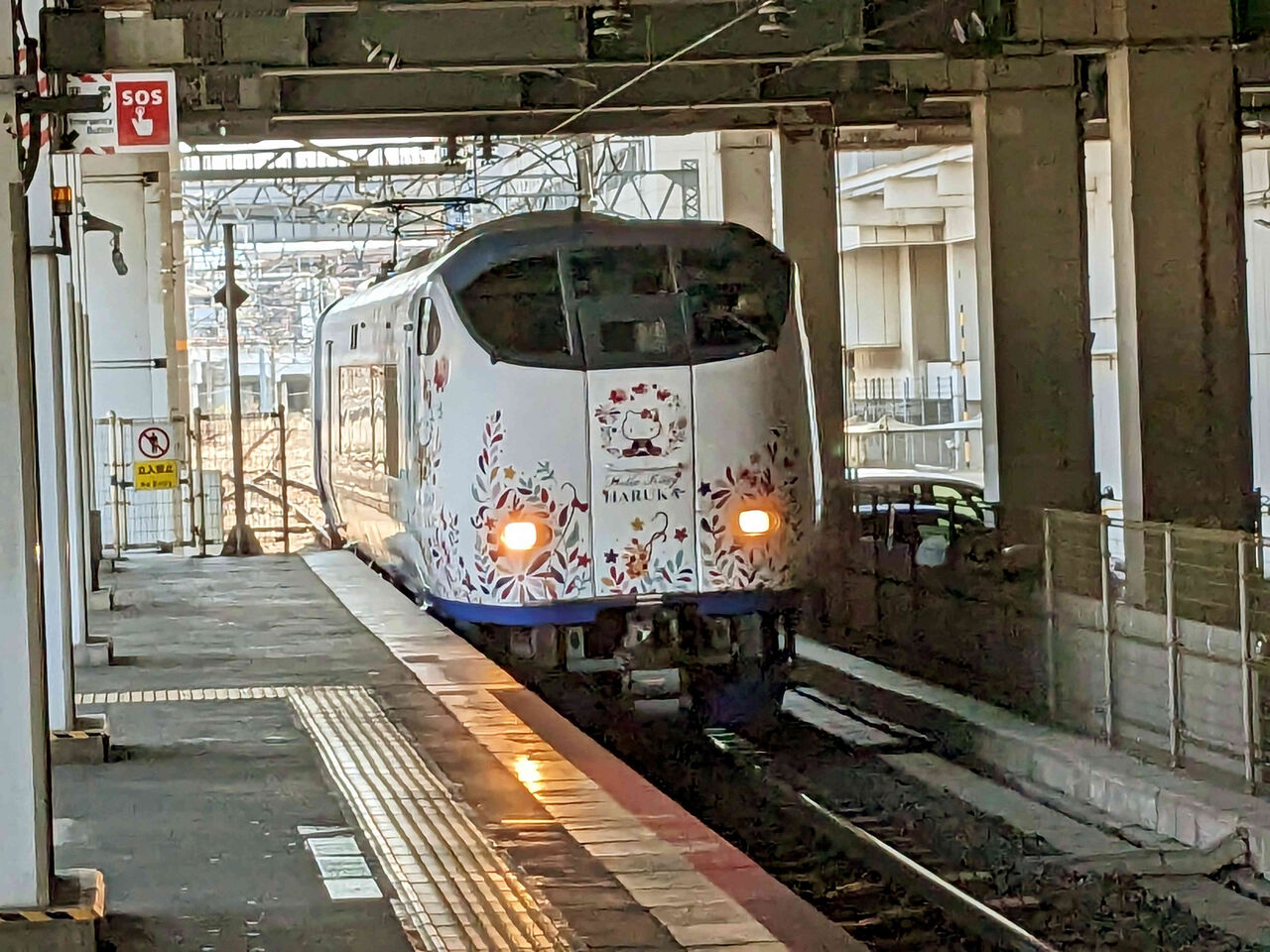 関空特急はるか号 日中の9両運転が復活 : ＪＲ阪和線つれづれ記