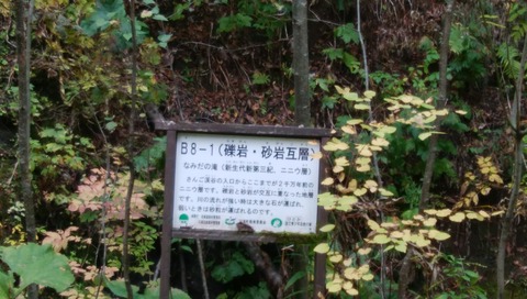 IMG_20201010_103745