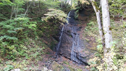 IMG_20201010_103757