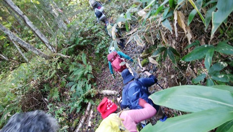 IMG_20201010_121206
