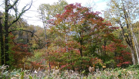 IMG_20201010_111903